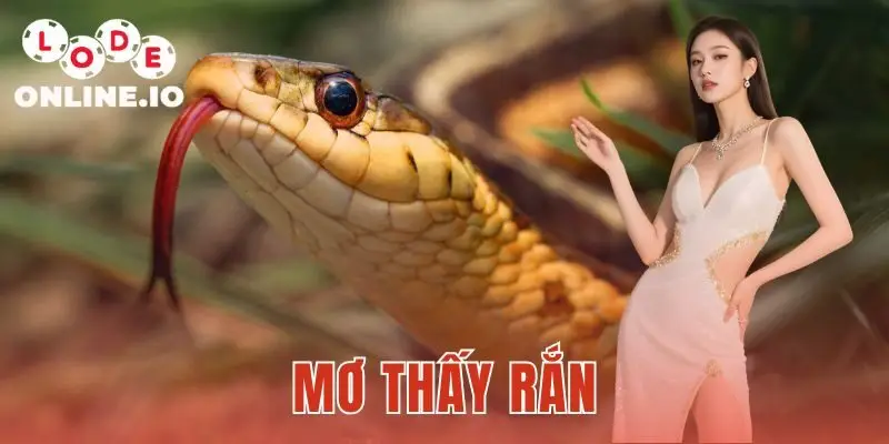 Mơ Thấy Rắn